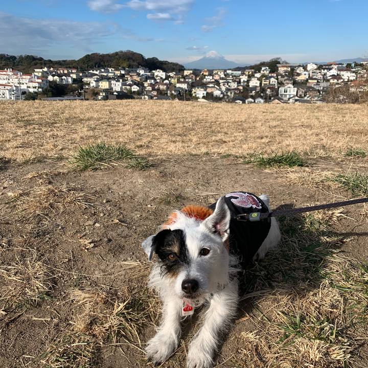 7eb02187 c1d3 4d97 b294 4a8e5cc8773d 1705538194312