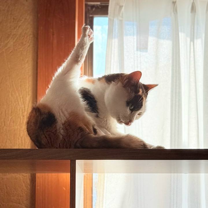 7eb0393d 8831 40ee 9312 695ff866d677 1765763700824