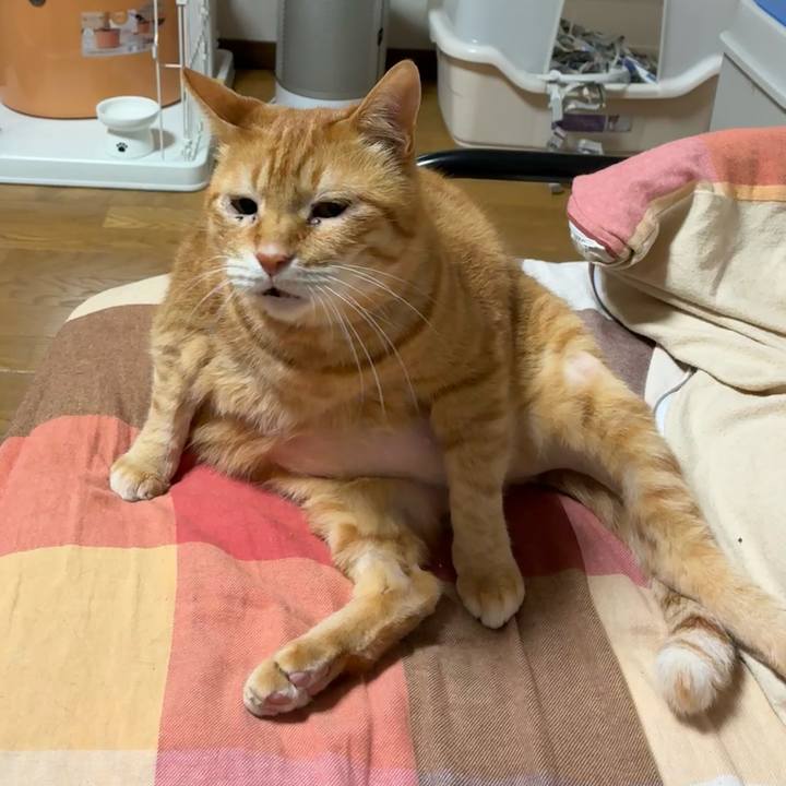 7eb054c6 625c 4a60 9046 bf1f375b5647 1749727722209