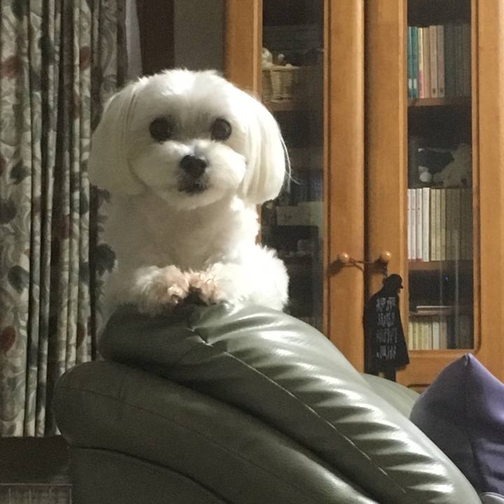 7eb05ad1 7f94 458b a1e3 a9f0302d15bc 1527681052251