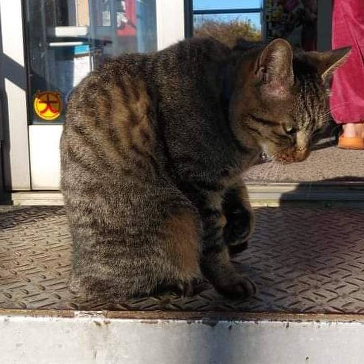 7eb088d6 025d 4386 945a d21d72be9238 1638528984232