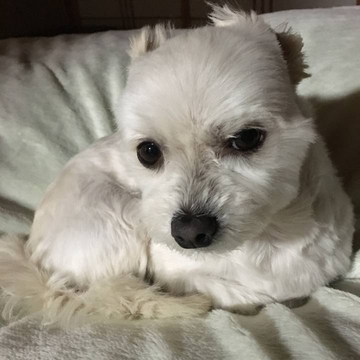 7eb0b767 a07d 4a80 a451 1124a41fc580 1547546796138