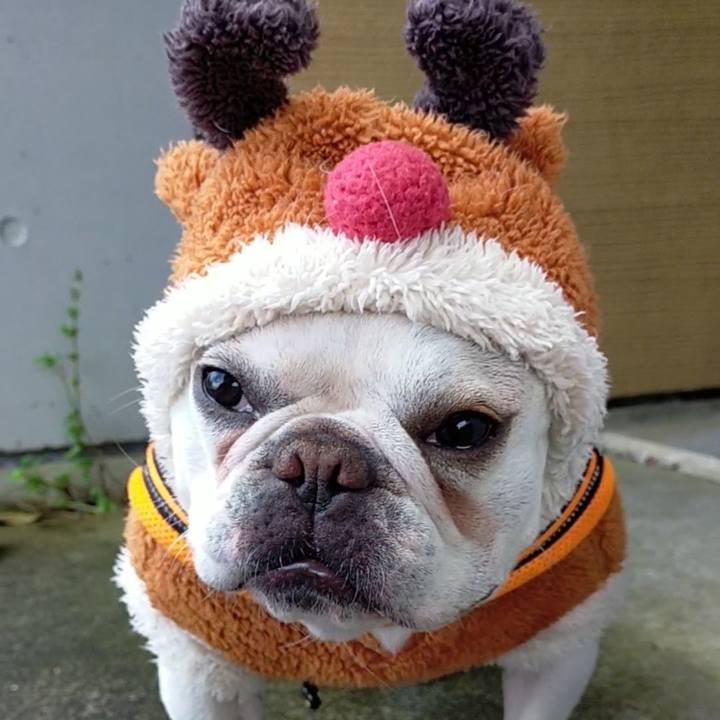 7eb0b865 8504 4bd0 88bc 154b56a04530 1670902207758