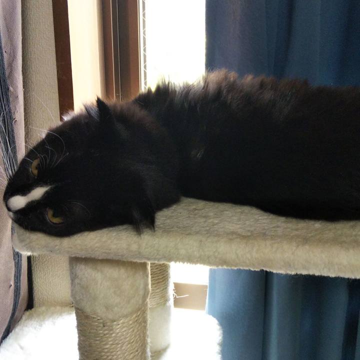 7eb0b8c0 eda3 4034 9e0e 8dbb15899c16 1646357019581