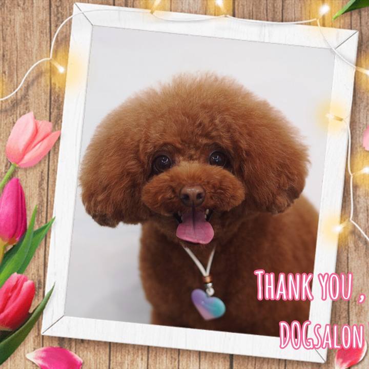 7eb0d884 5b7f 4266 b4b3 2fdb07c8afec 1527136228493