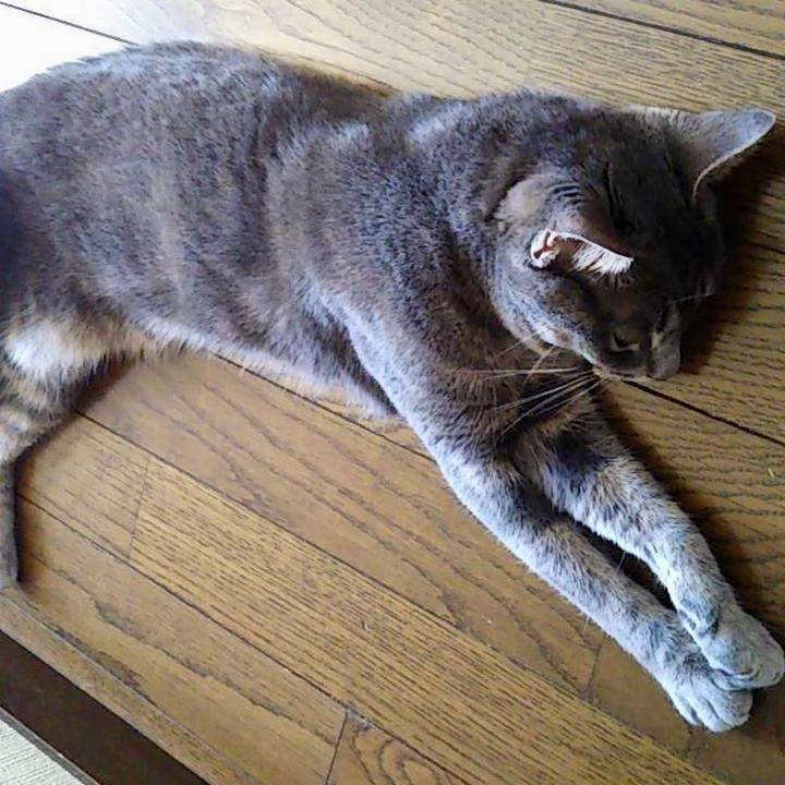 7eb107da 420a 4760 b130 3ac0cbfd56a4 1564910194864