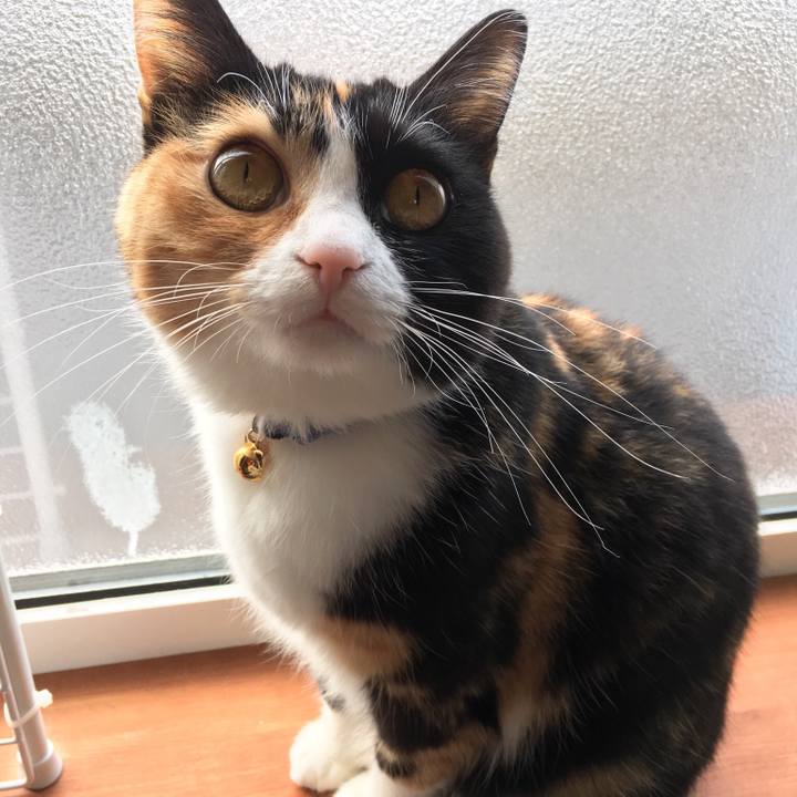 7eb1126e c6a3 4d06 b5e6 84dbf6f327b4 1511079425002