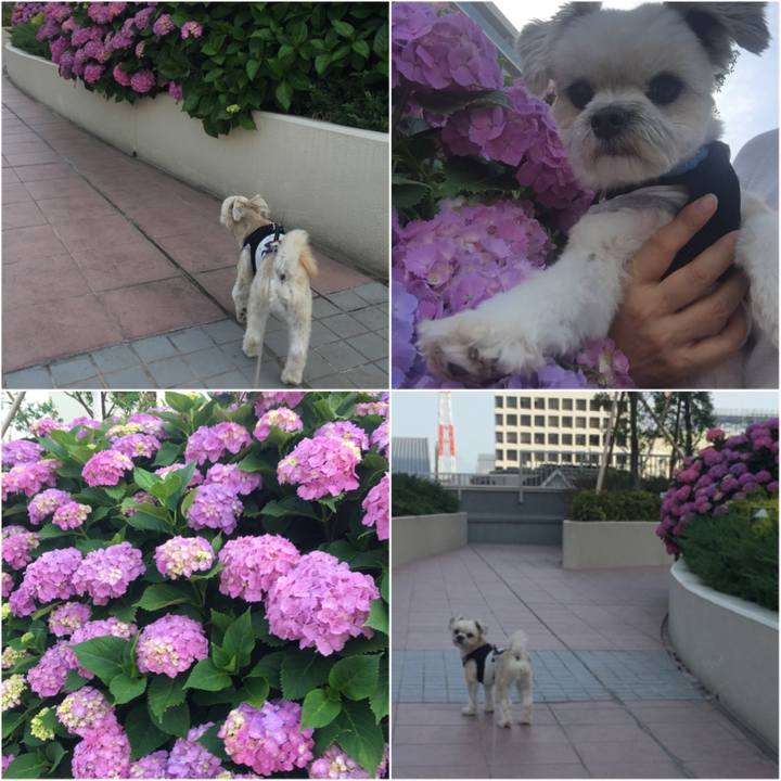 7eb132d6 d13e 4115 a7a7 647ff9d223b5 1527590016904