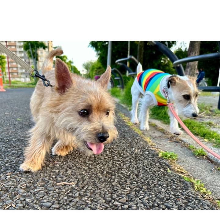 7eb17c49 a0d0 4db9 9638 200b8dc633f4 1714907368489