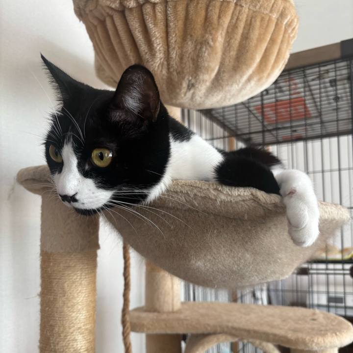 7eb192cf c030 4b86 9479 8e9230adf12f 1765160052710