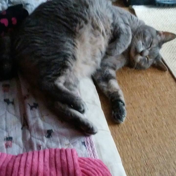 7eb19875 bc6a 44cd ba76 3379cd33a6e7 1563696864032