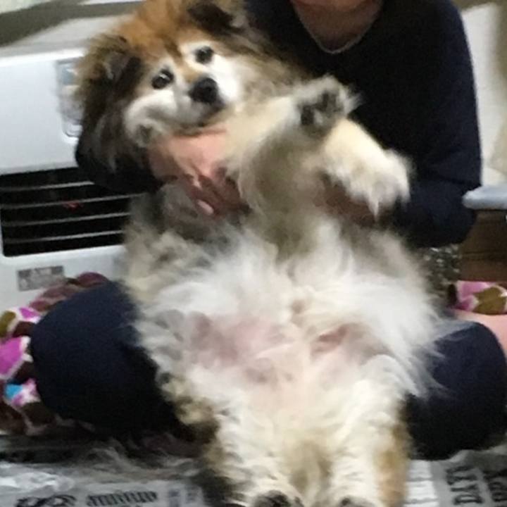 7eb19b80 7ac2 4749 9877 ed3875eca19e 1658379093240