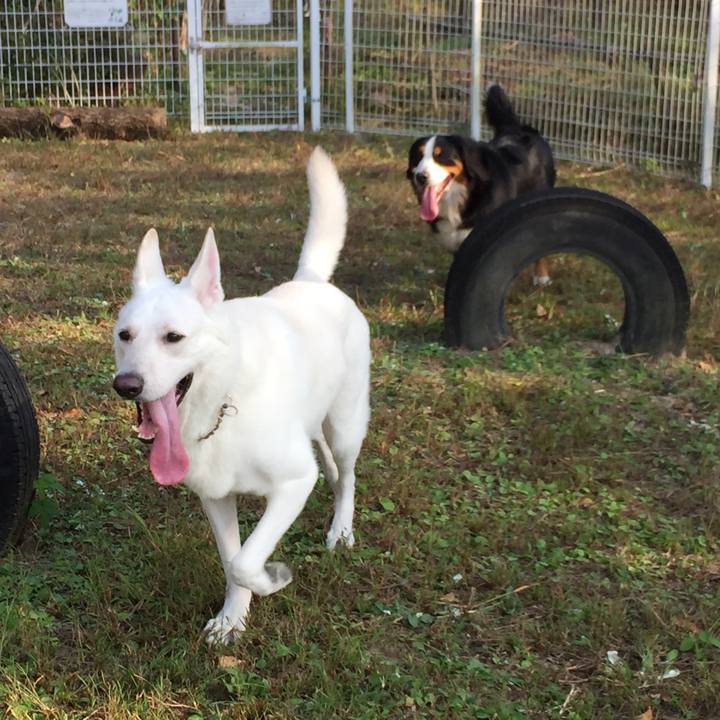 7eb1c722 3df8 4580 bf1d 567270e9e569 1564751460456