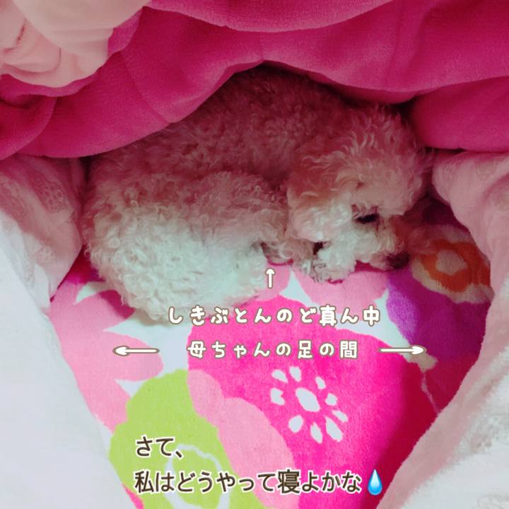 7eb1de81 2420 499b a60d 0d2e6d545516 1508336615533