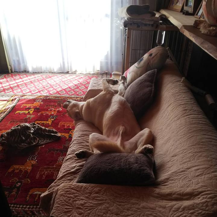 7eb1e089 0baf 4702 9a53 9de301069a8c 1579495868783