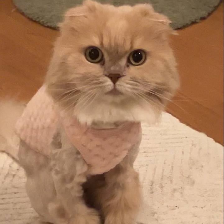 7eb1e182 00b7 49ad b223 47ad841def50 1769852181655