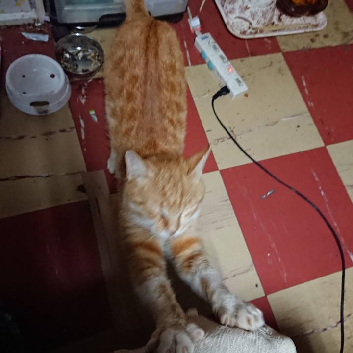 7eb1e4c2 2ebe 46f3 8719 2cb24bba4995 1559246380215