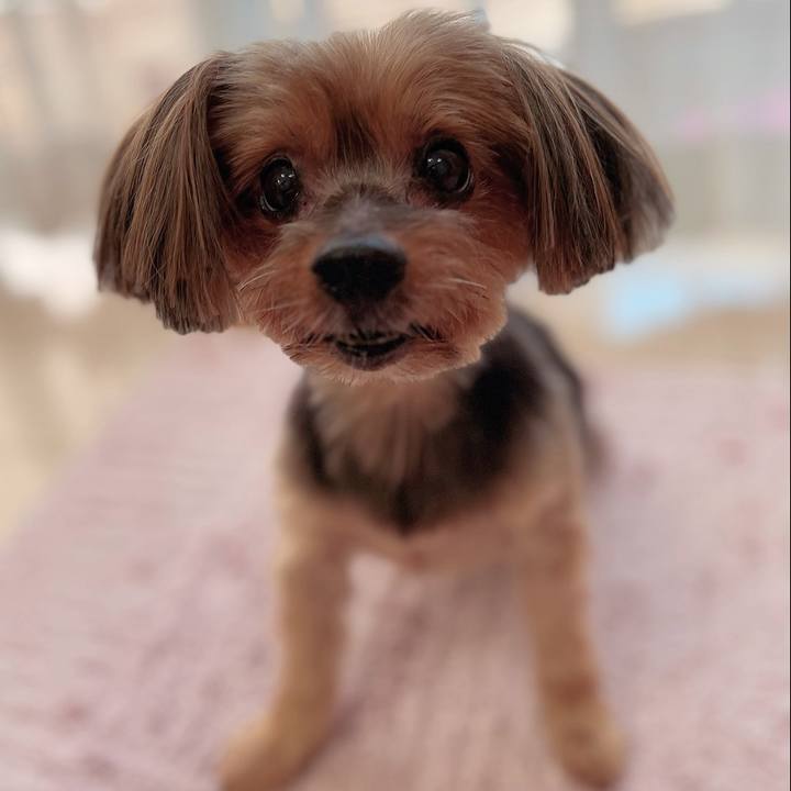 7eb1f1b8 3d26 482c 8d5f a09145b047b8 1700633932045