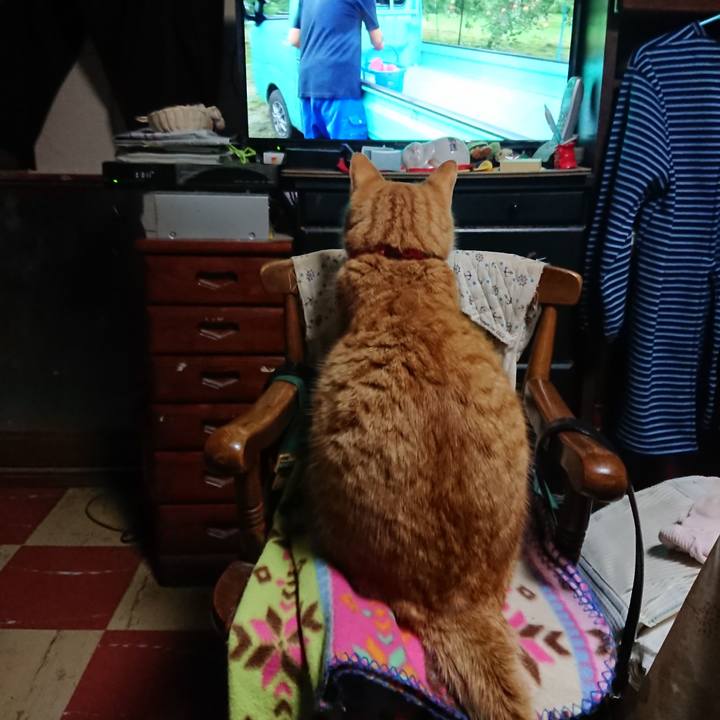 7eb1ff3d 912f 4421 9c9f 3edc87bf7220 1578780500870