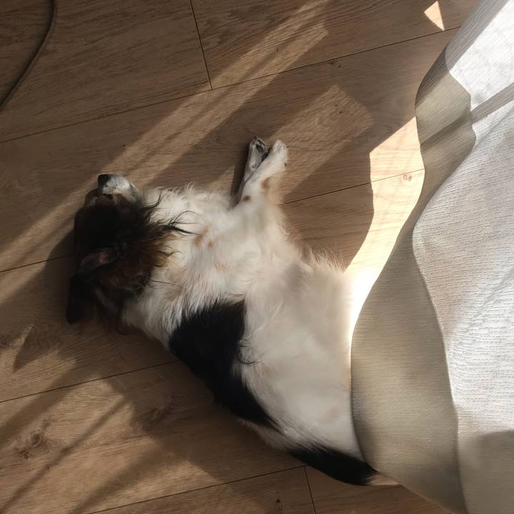 7eb20307 d5fe 44a5 8e84 8999d5e1c8d3 1644029629966