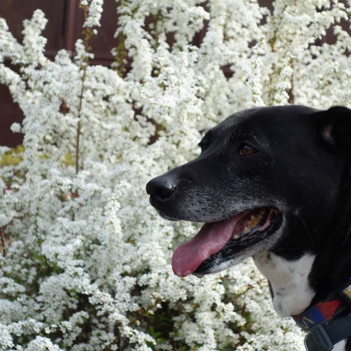 7eb222a0 eaca 43dd b5df 23eadd1bfd32 1712453241246