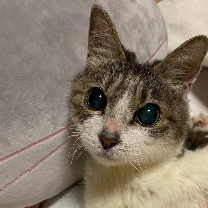 7eb23041 f5c0 4e37 9f3a 54e9e92725ca 1557696964998