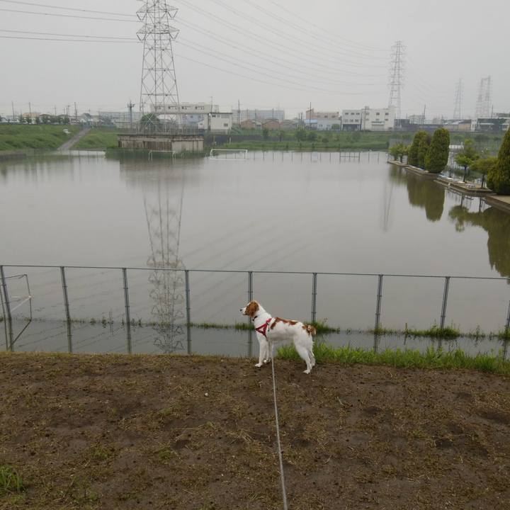 7eb2414a 6a5f 405d b845 7b73e017f34a 1526268408973