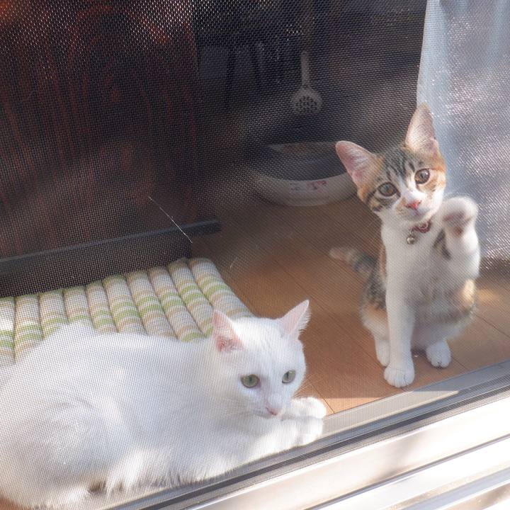 7eb26ccd 4bd2 4567 a7db 1945198f65a4 1633481709416