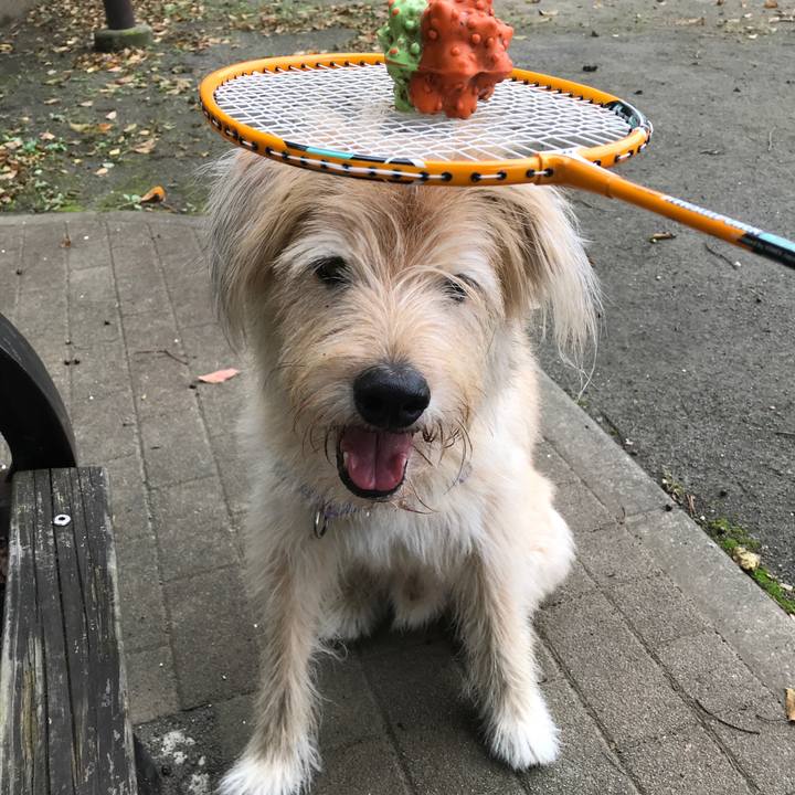 7eb28101 f229 4878 aeb6 33592bfc9582 1538970576044