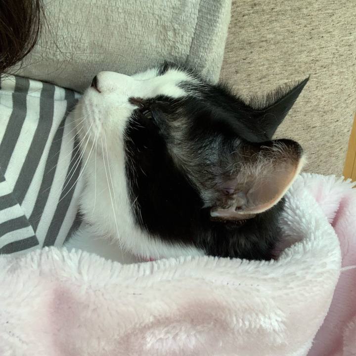 7eb28525 4ae8 4b6a 9f4e aaada24c5846 1740181119100