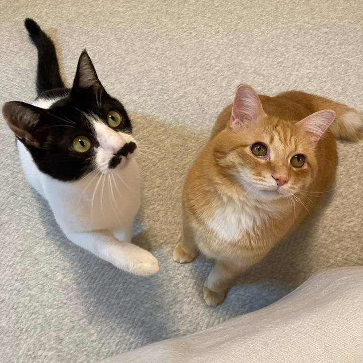 7eb28f9c 6623 4f86 abc9 163bd0a521e4 1772282949756