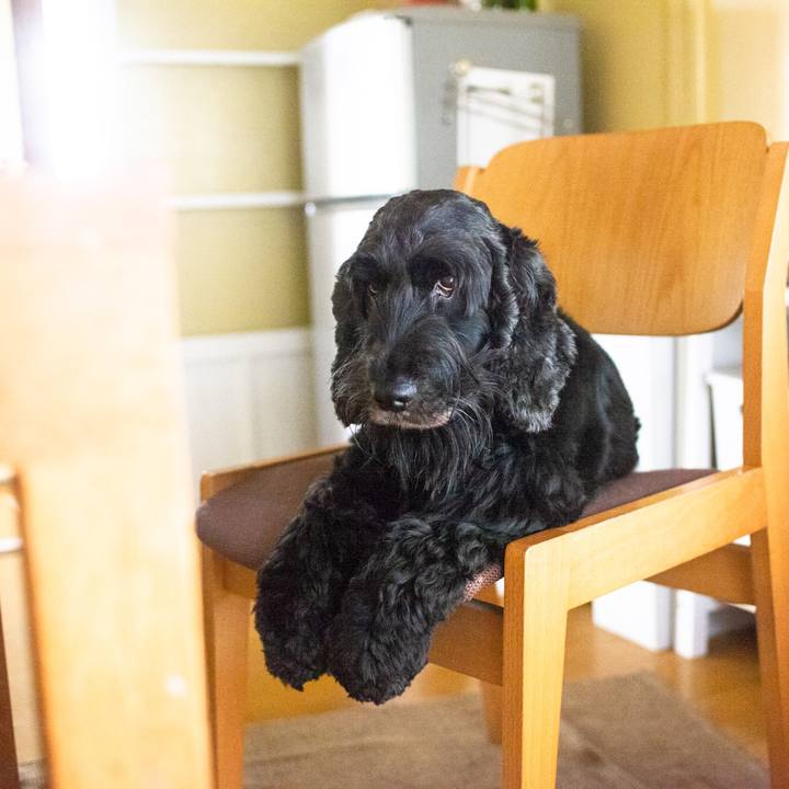 7eb295ab a25a 4d58 95c7 4ef6770132d1 1566920339688