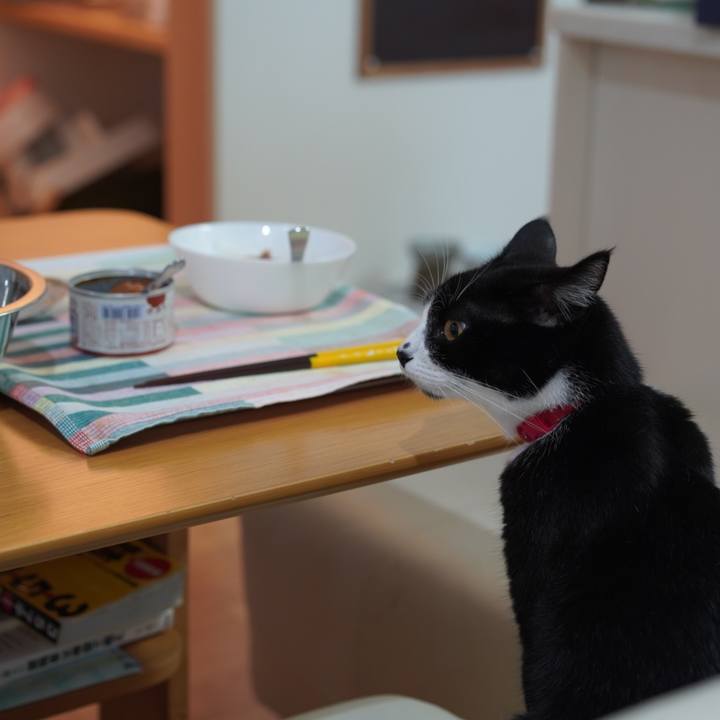 7eb2a9d2 d530 44cd 9997 1e3ce93de28e 1628254983230