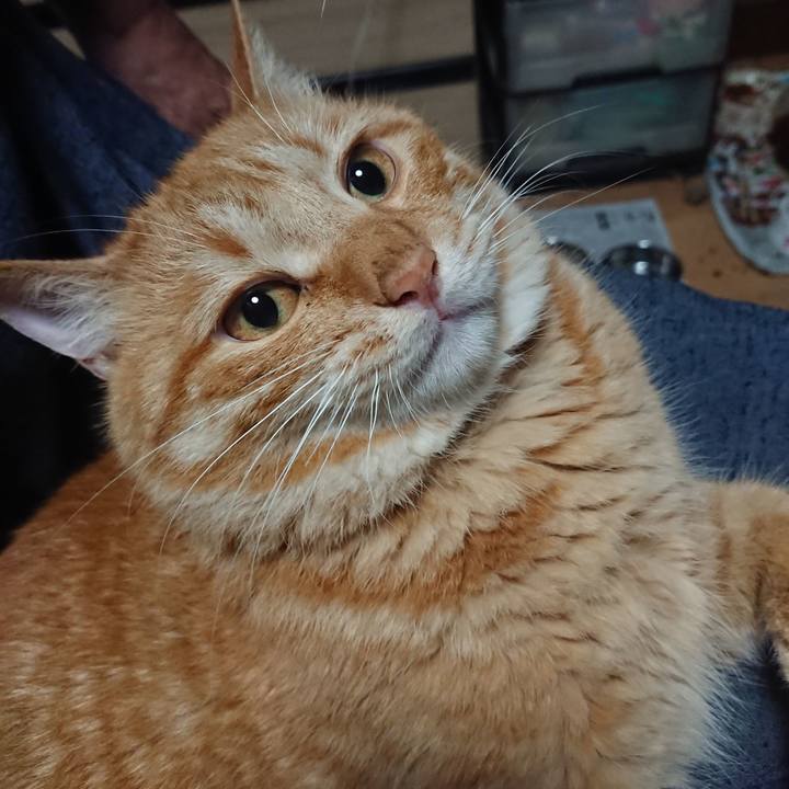 7eb2bcce 7024 4c31 99aa 3c0ad388a4c8 1656303900939