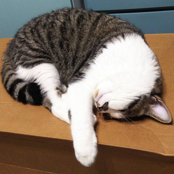 7eb2ca44 6429 4106 8266 ea374e0f0e46 1627902025991