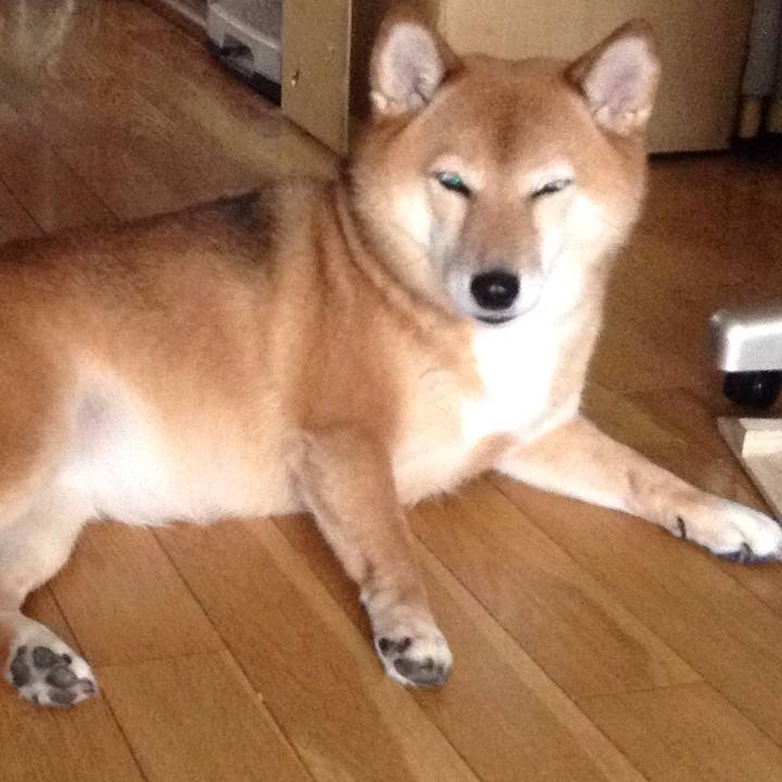 7eb3130e 0626 489b 8a9b 4690326e4209 1533019463649