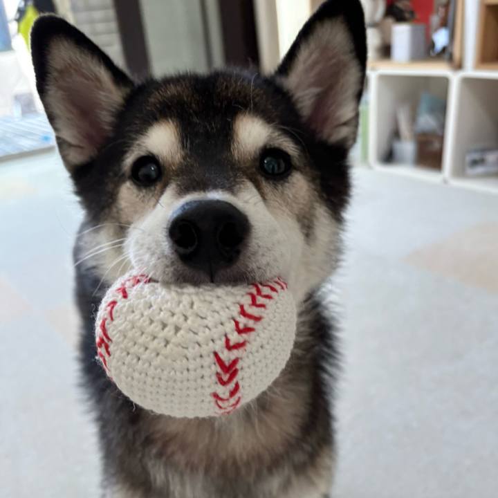 7eb354a5 f8d5 43db 98af 9d11e1514da7 1754401008231