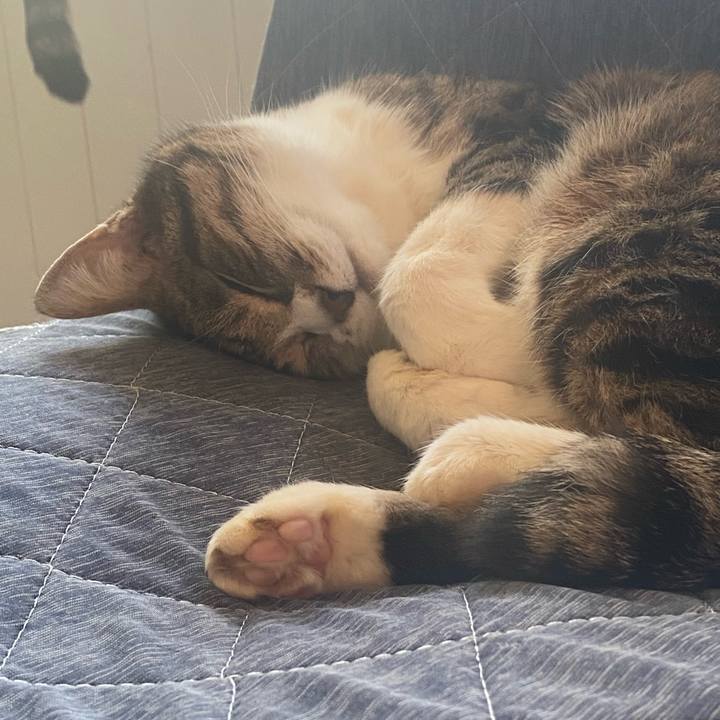 7eb36ca9 a49a 4173 a696 ea21c69255bb 1716609828729