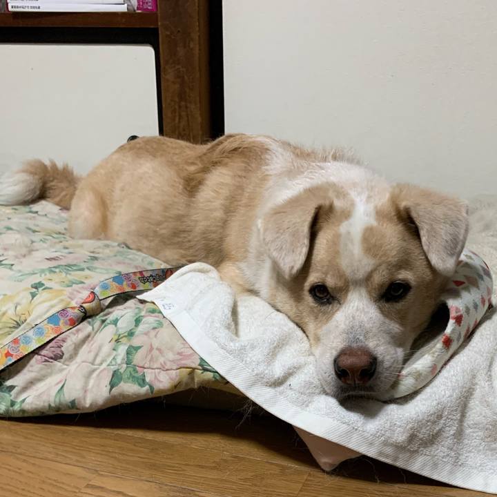 7eb37a45 0ad5 42d1 985d 4fc6e81f2f5d 1574073107162