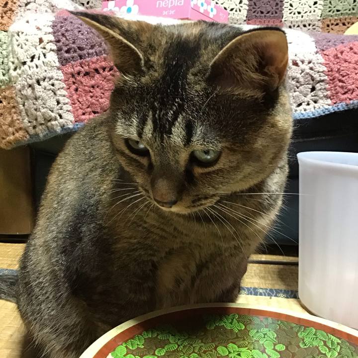 7eb3effa f254 46b6 b09a bec597c83ff8 1690894678169