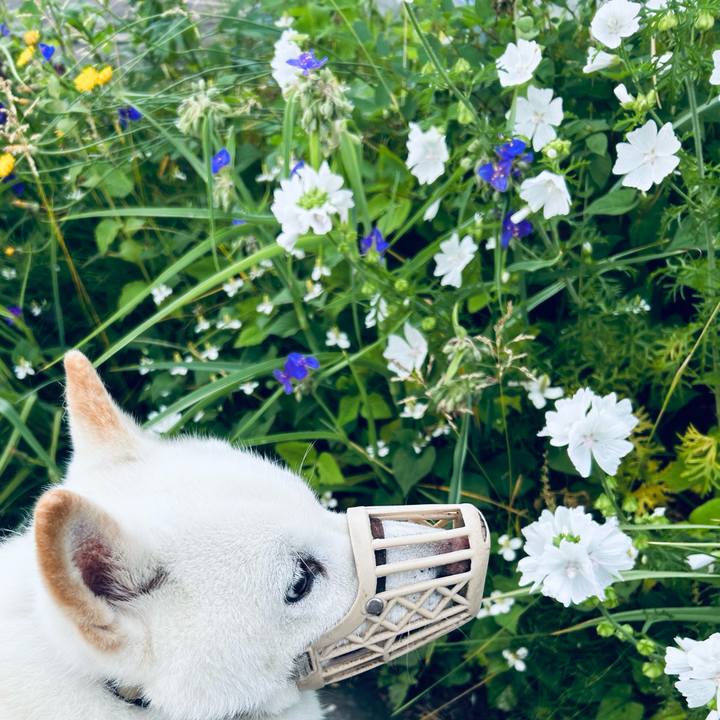 7eb3fd09 5294 458d 9fbd 83602774f8b9 1720391799937