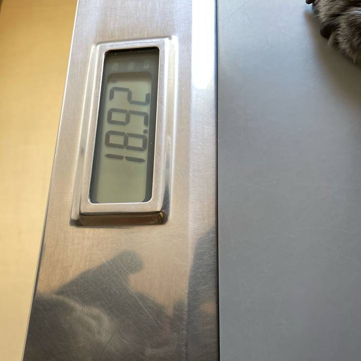 7eb3ff8b 5ca7 4470 9aab 0820ae464bb7 1776324281268