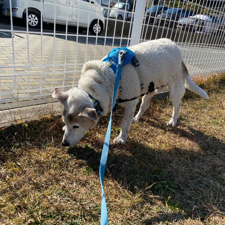 7eb40d88 ac41 4600 8d37 a4f8582567b9 1735393370718