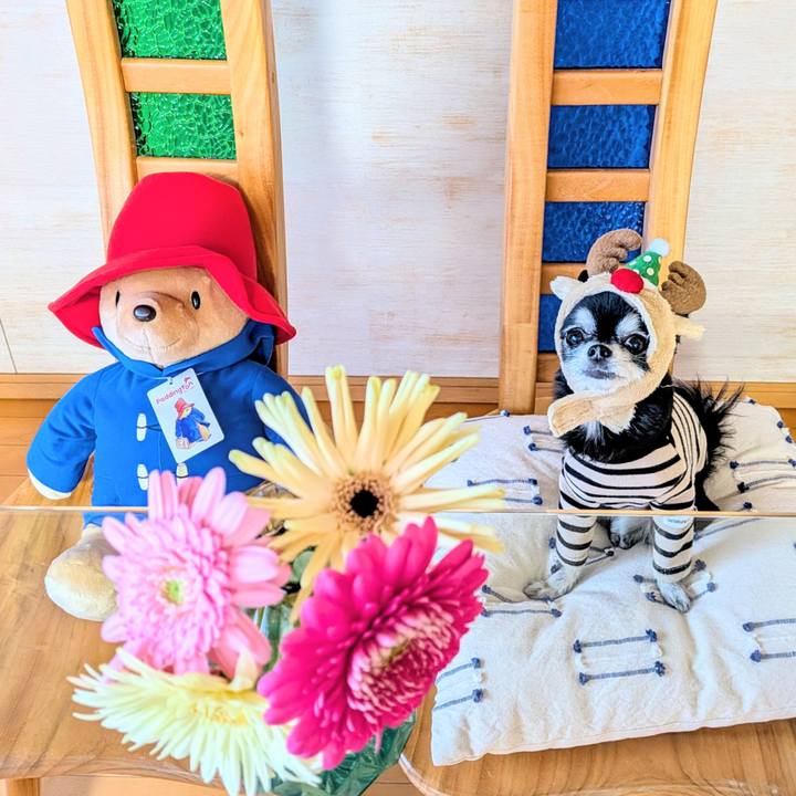 7eb46bb0 fb80 4249 9c41 ec42911e3fdd 1765610630384