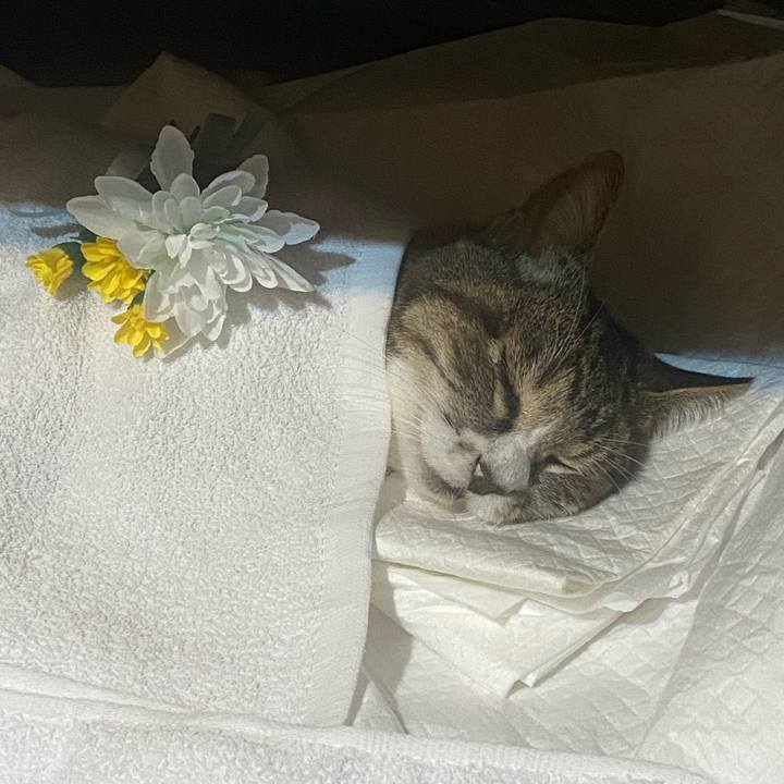 7eb4750e 43e0 496b 8b80 60c8ffd52e9e 1741621959281