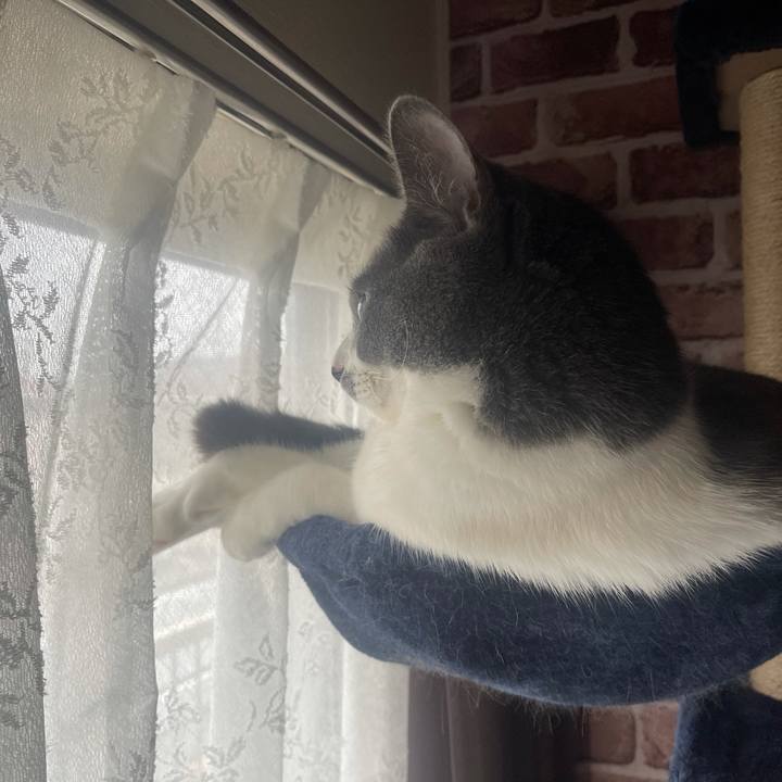 7eb48b83 ab08 4cf5 93e6 c07891c4dab5 1625361527753