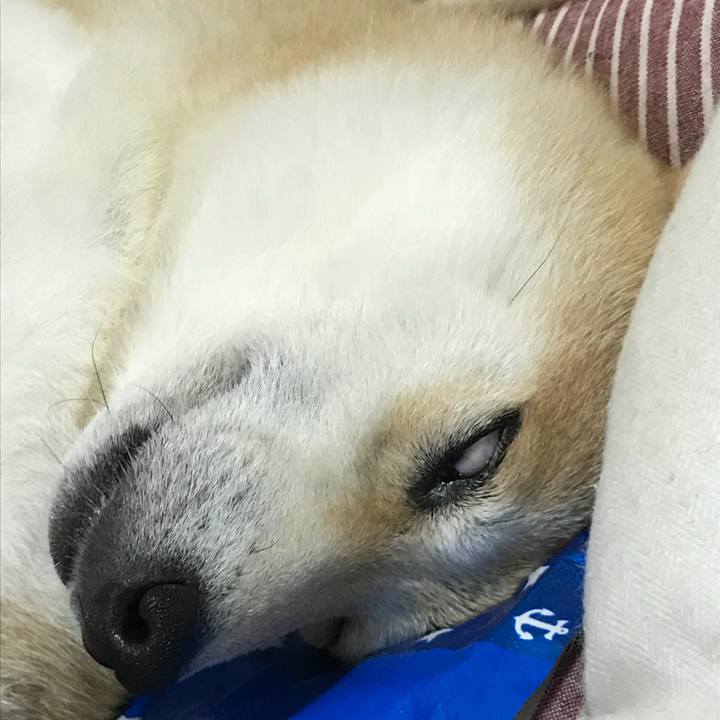 7eb49010 6df4 4e82 97f0 4f84954ece81 1530960475546