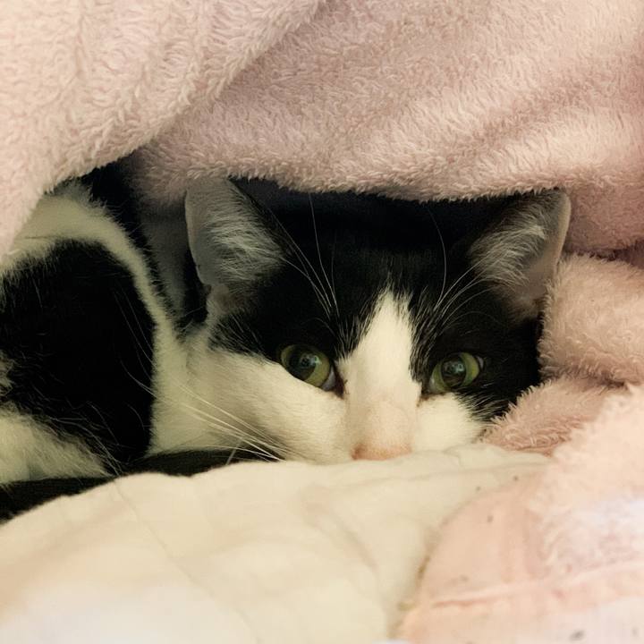 7eb4a9fe 29e5 4f77 959f ed2199dbbf51 1582854865369