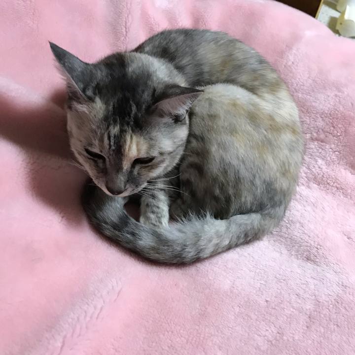 7eb4c043 d56f 481a 9474 4f001e09ab76 1542630989257