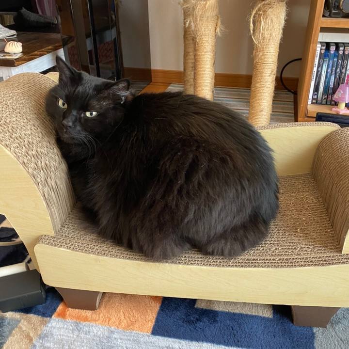 7eb4c445 d906 40f3 90ae 3f622ec2c506 1590106391118